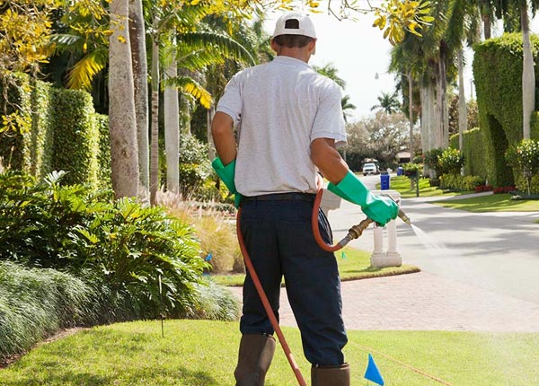 About Anthony FL Pest Control